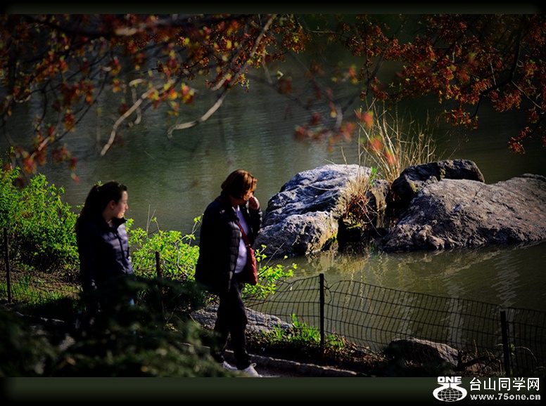 DSC_6649_.jpg