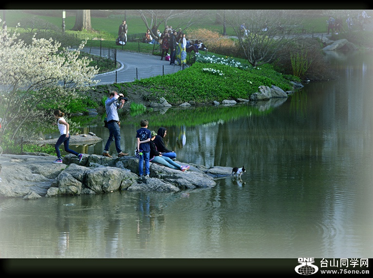 DSC_6669_.jpg