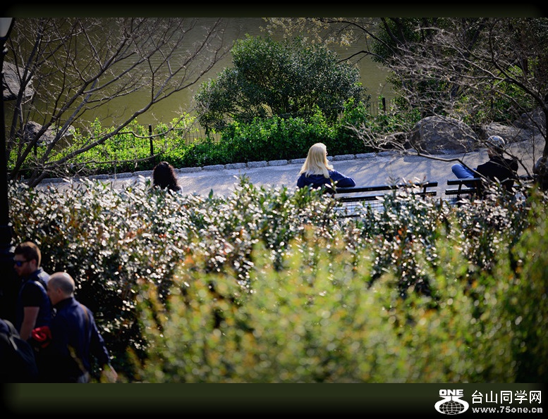 DSC_6626.jpg