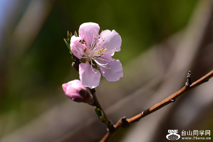 DSC_0862_.jpg