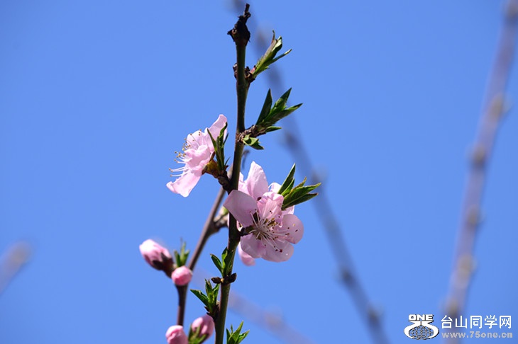 DSC_0863_.jpg