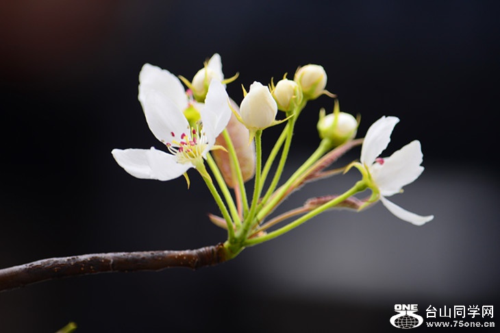 DSC_1615_.jpg