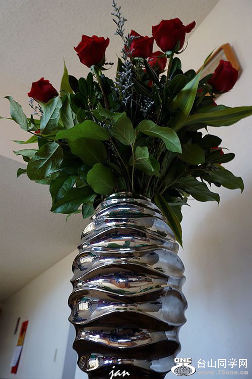 DSC03947_.jpg