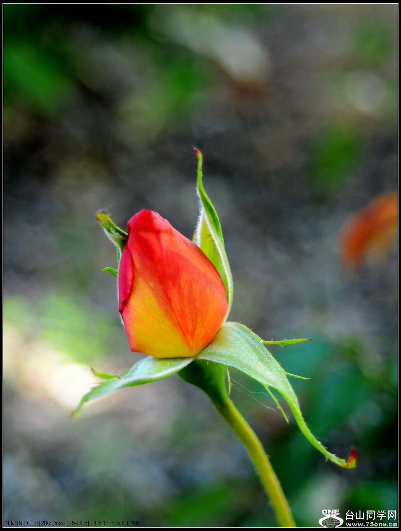 DSC_1023.jpg