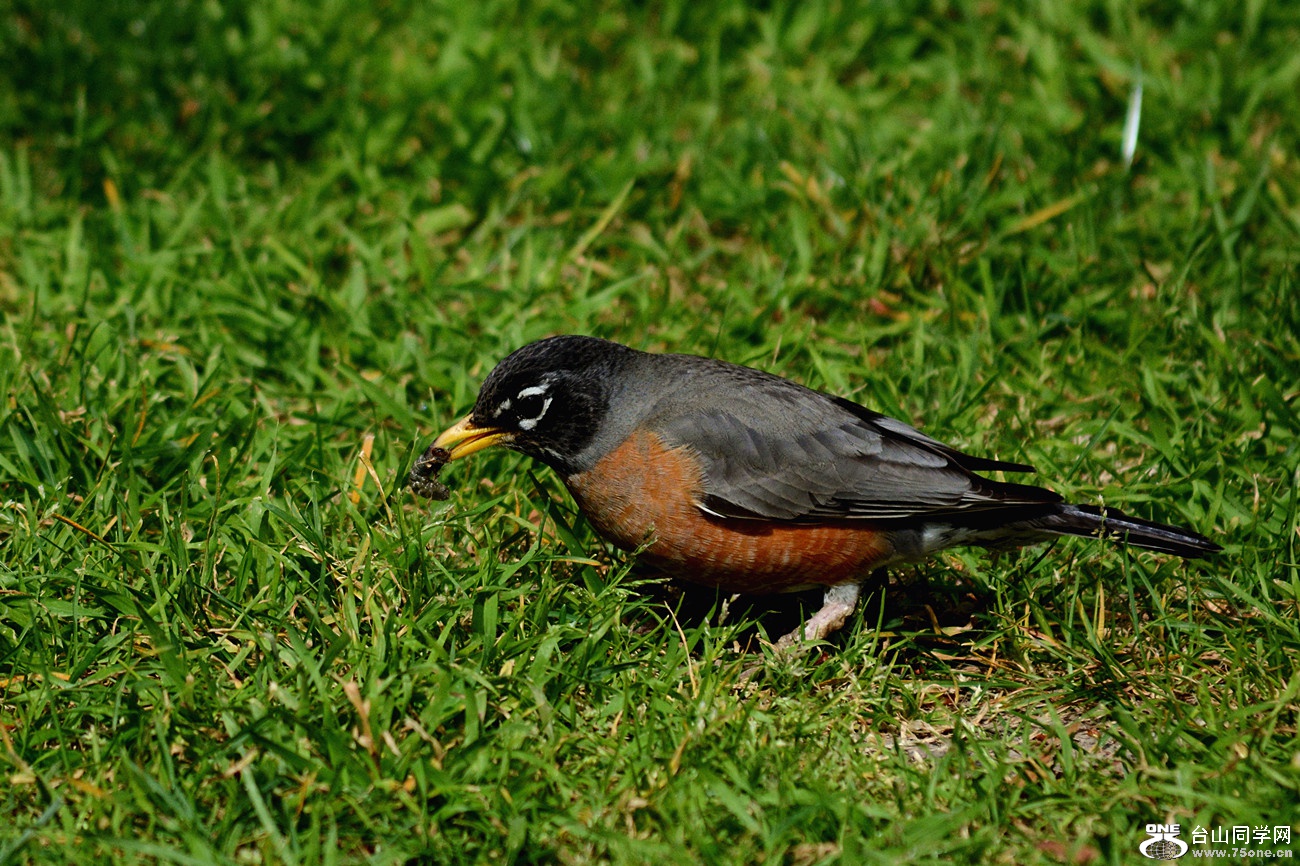 DSC_4580_8.jpg