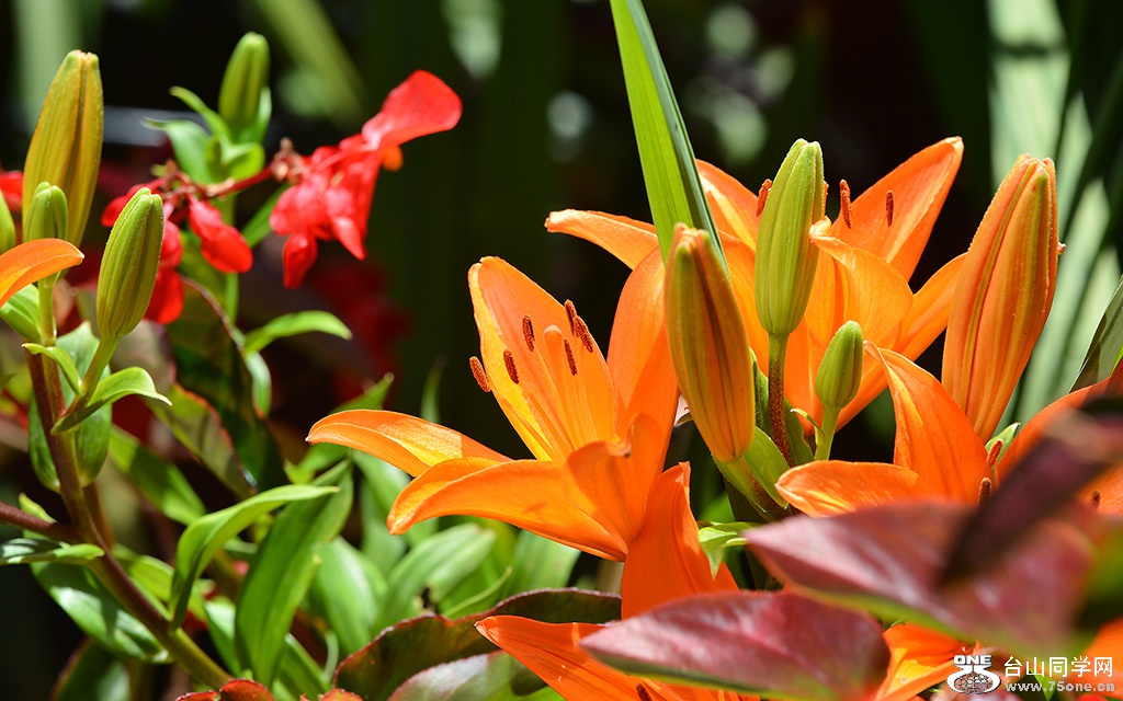 DSC_0023.jpg