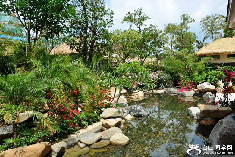 DSC_6882_conew1.jpg