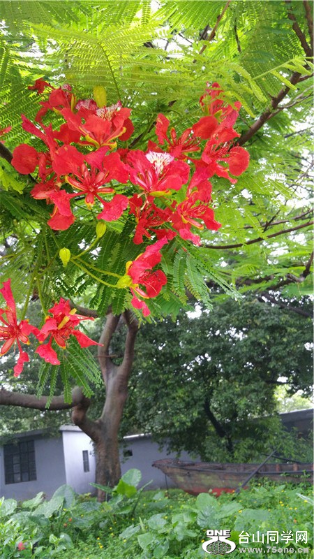 20150524_100340.jpg