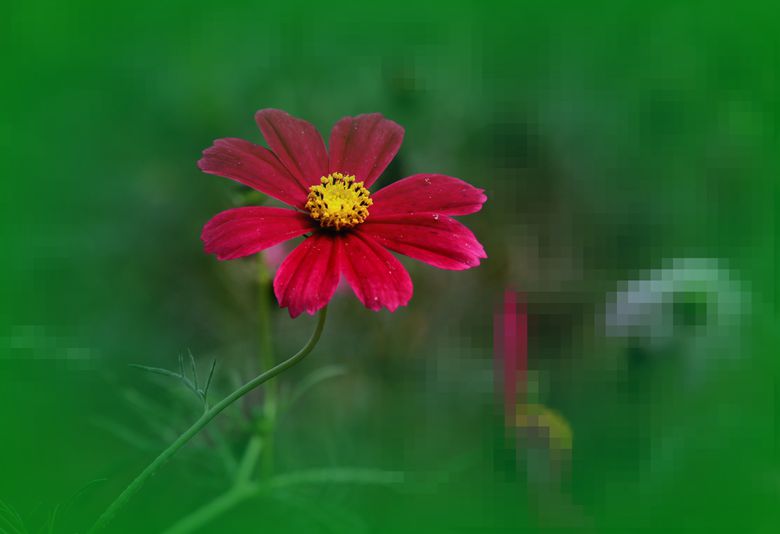 IMG_7866_.jpg