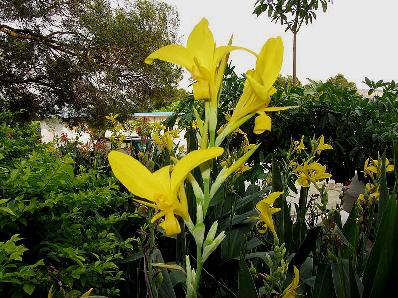 A_000205.jpg
