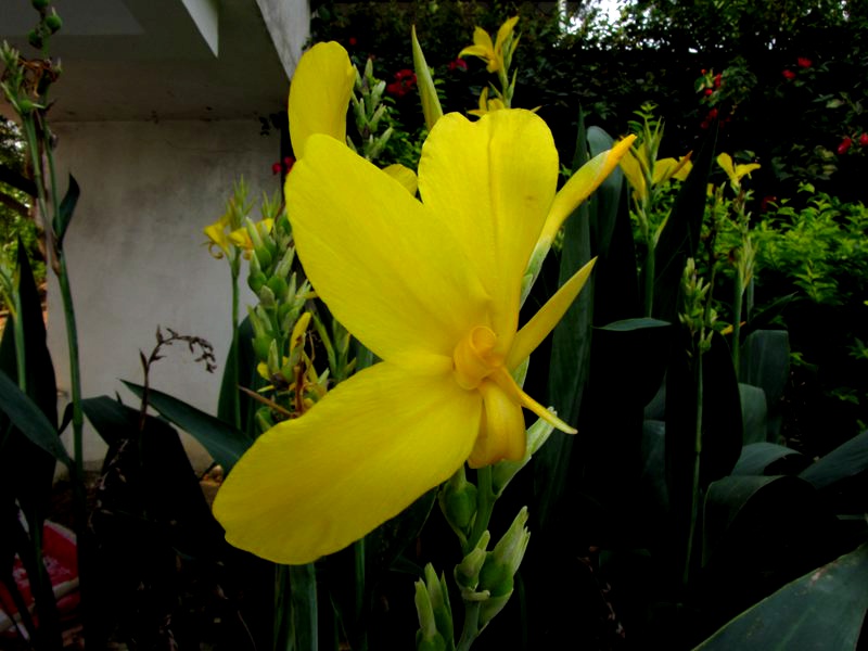 A_000202.jpg