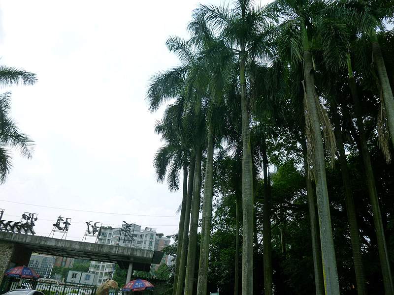 CMG_0005.jpg
