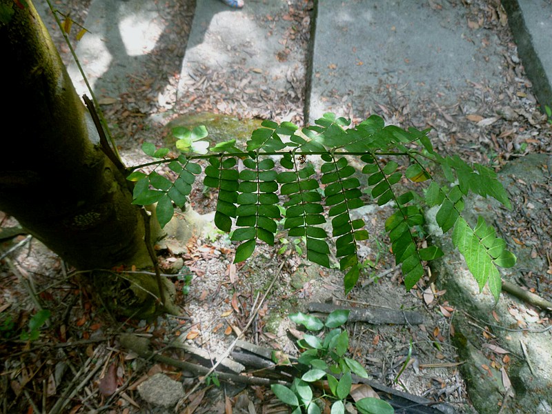 15.jpg