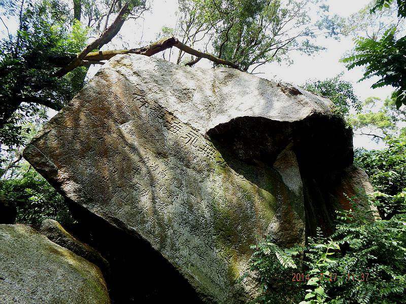 DSCF1595.jpg
