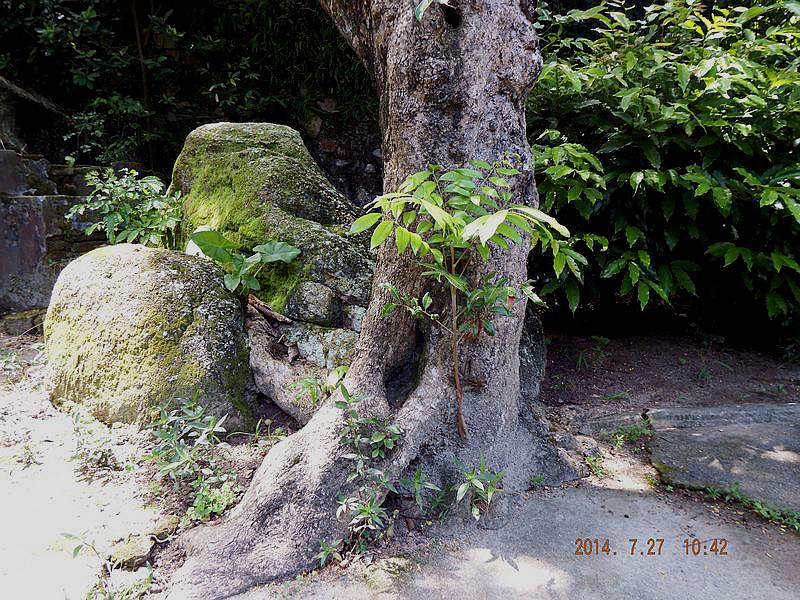 DSCF1565.jpg