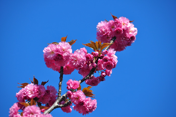 DSC_0197_.jpg