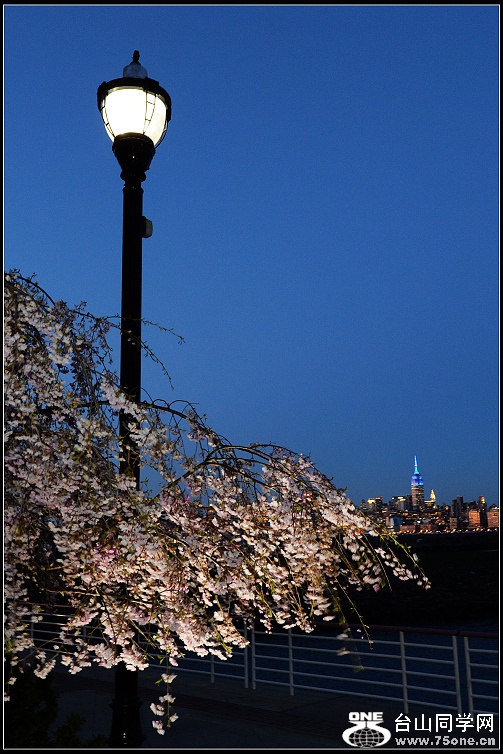 DSC_6630.JPG