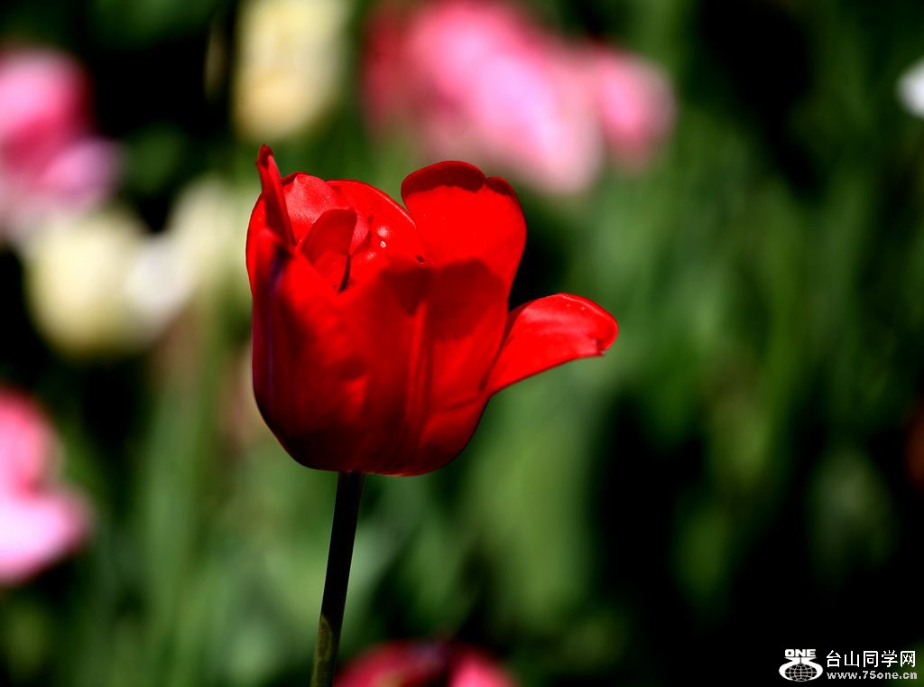 IMG_2050b.jpg