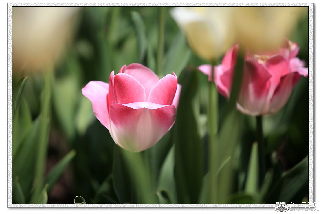 IMG_2041a.jpg