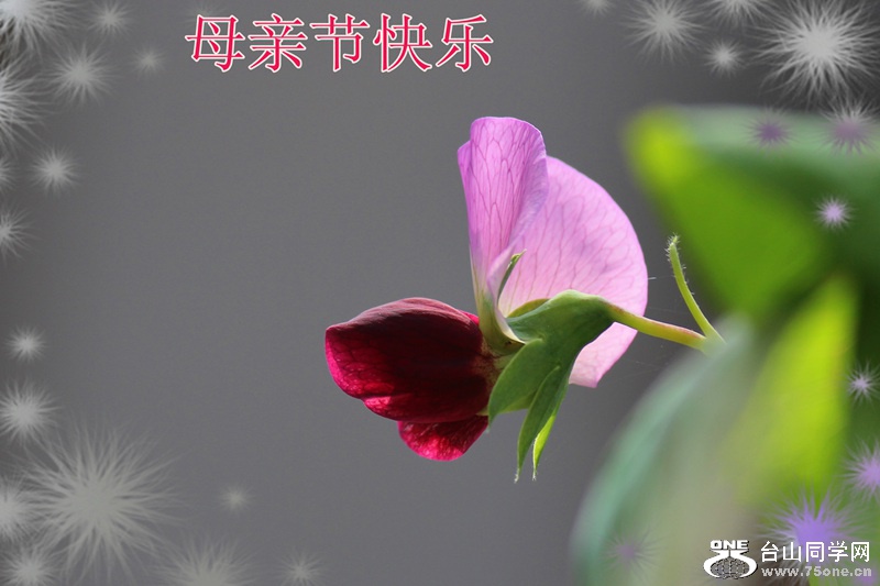 IMG_8859__.jpg