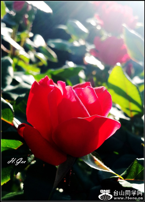 20150526_073212.jpg