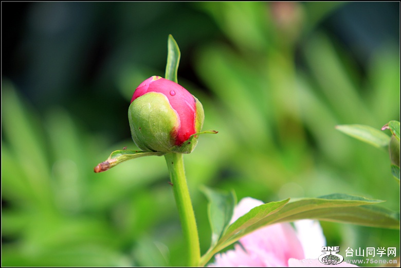 img_9523_.jpg
