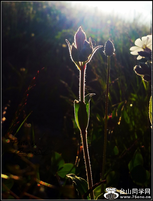 20150523_065318_.jpg
