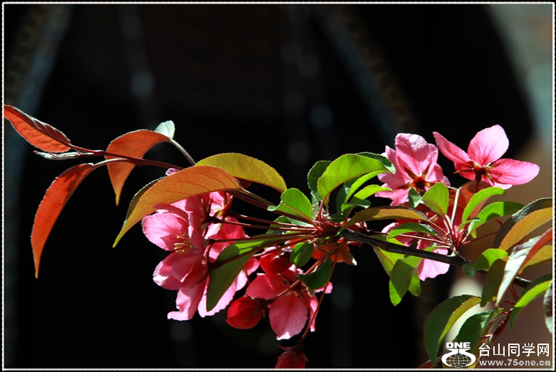 img_8951_.jpg