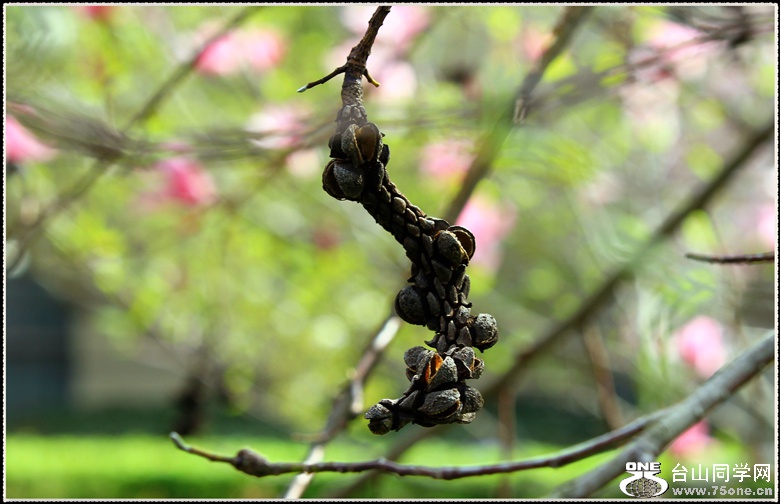 IMG_8237_.jpg