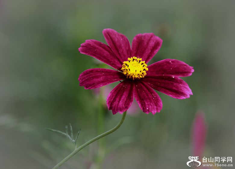 IMG_7869_.jpg