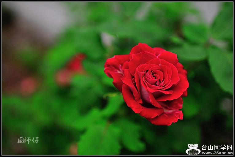DSC_1641.jpg