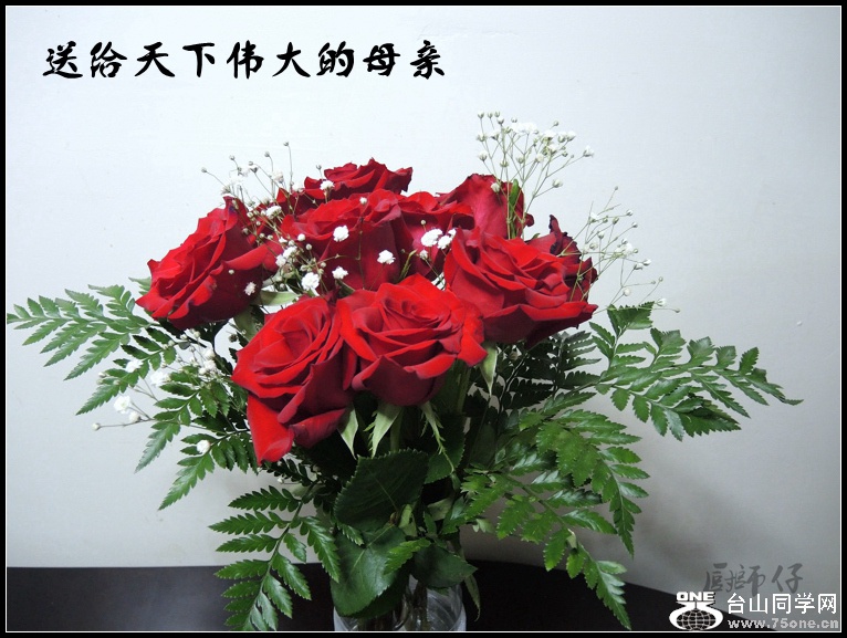DSCN1191.jpg