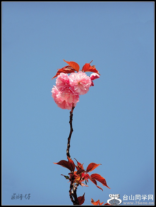 DSCN3985.jpg