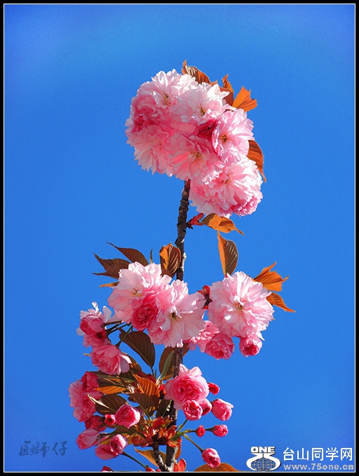 DSCN3980.jpg