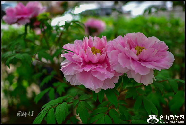 DSC_3818.jpg