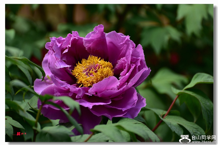 DSC_6785_.jpg