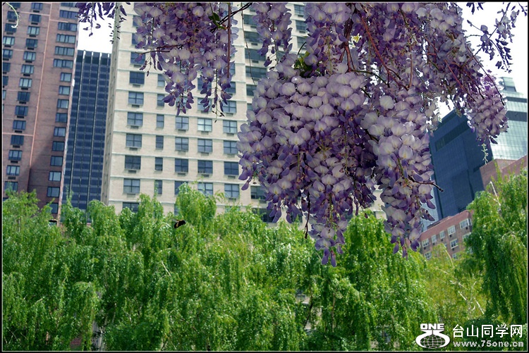 DSCN6786__.jpg