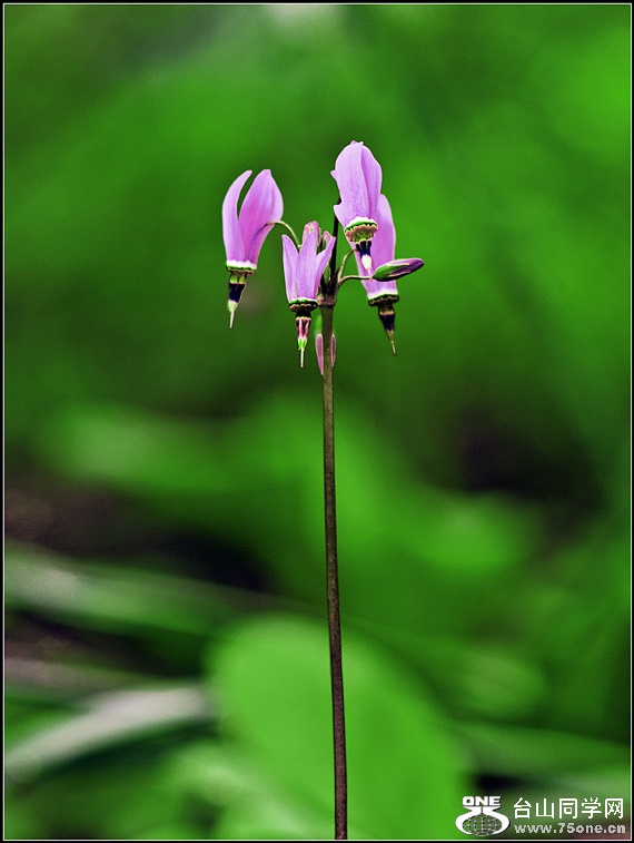 _DSC7303_.jpg
