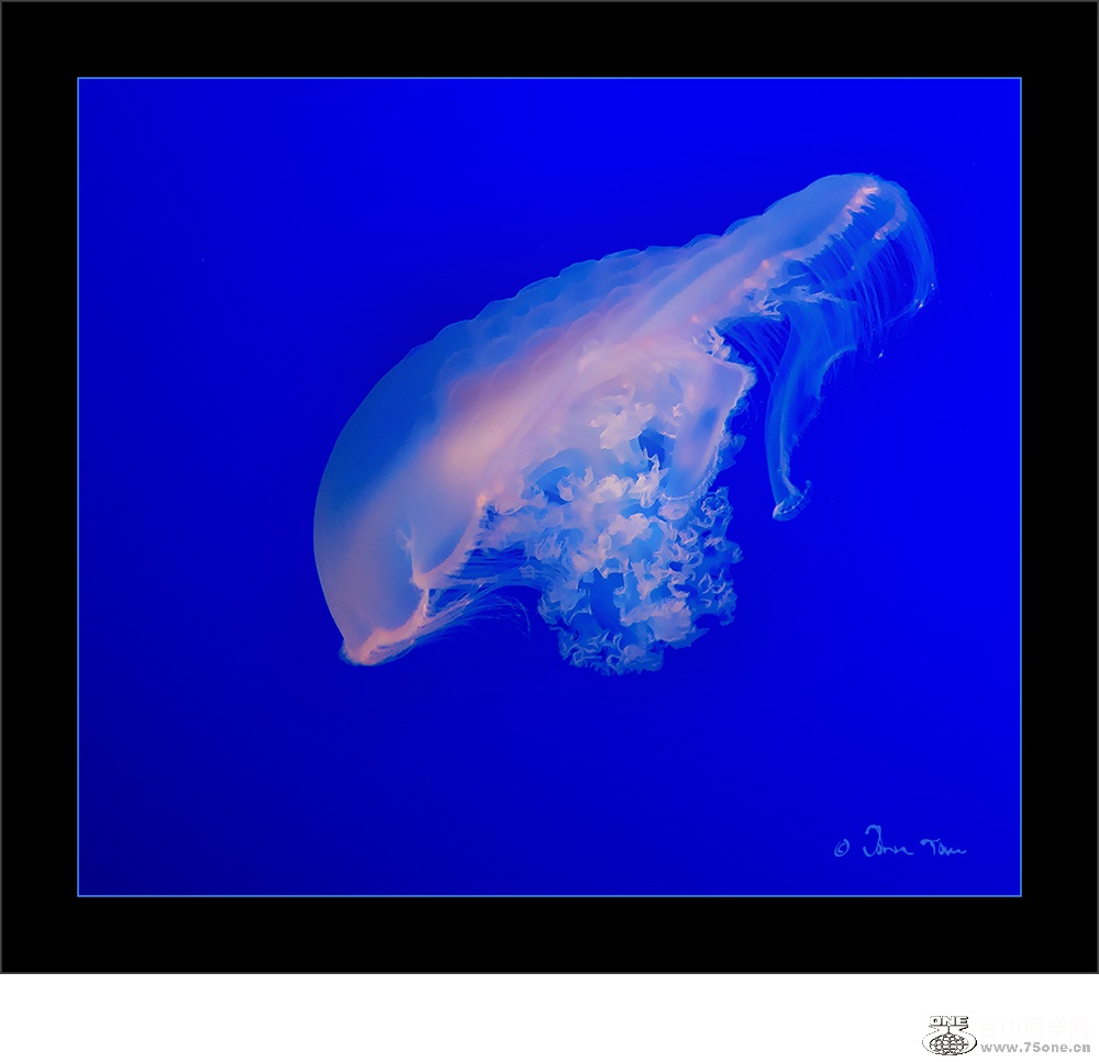 f_DSC3493.jpg