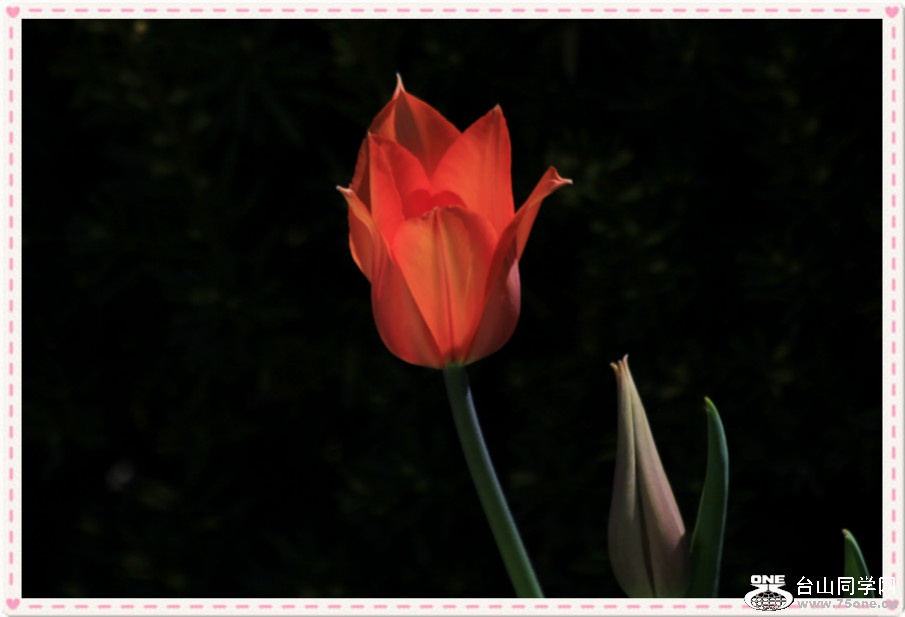 _MG_4595_meitu_5.jpg