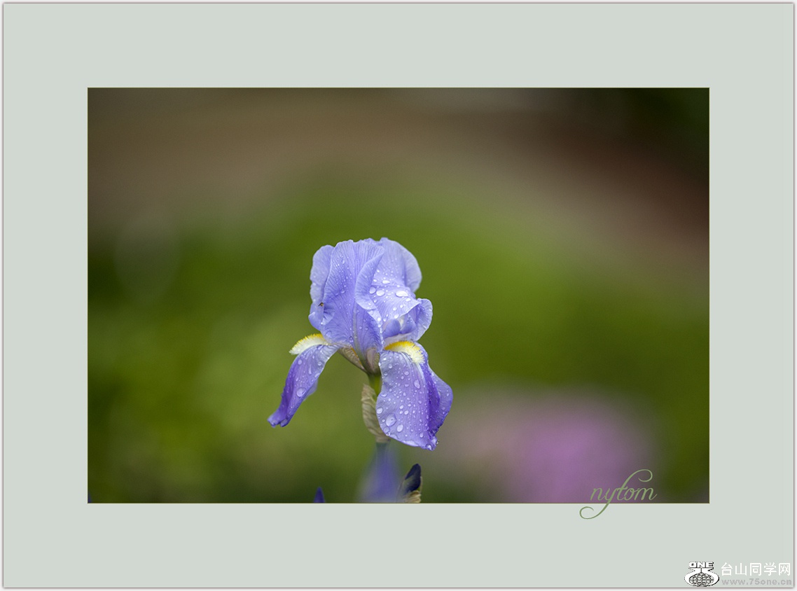 DSC_3236_.jpg