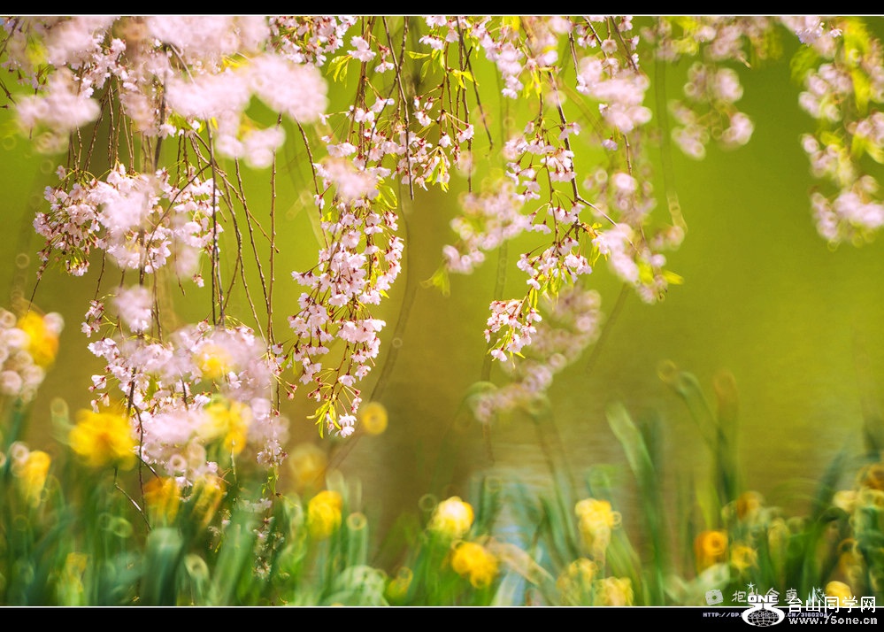 DSC_9488s.jpg