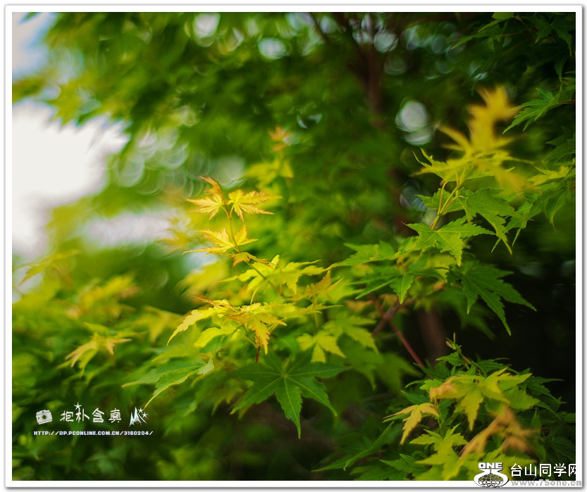 DSC00035.jpg