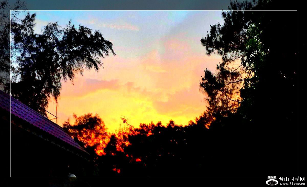 2015-05-03 19.35.58.jpg