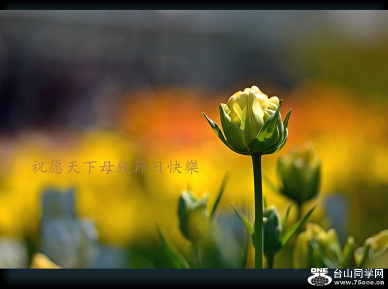 DSC.01.jpg