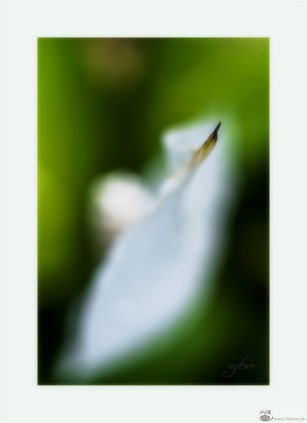 DSC_3371_.jpg
