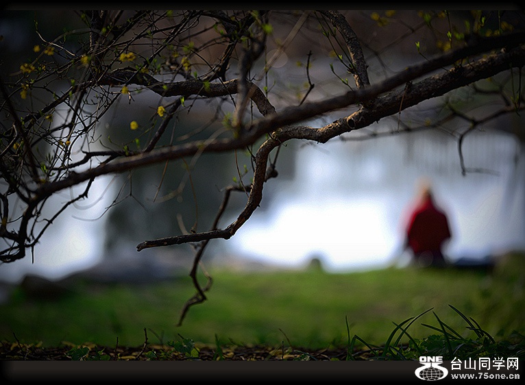 DSC_6657,.jpg