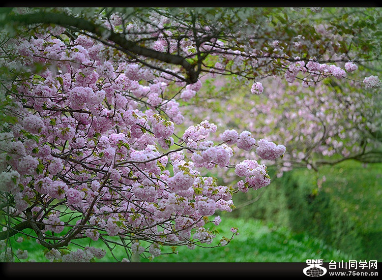 DSC_9771_.jpg