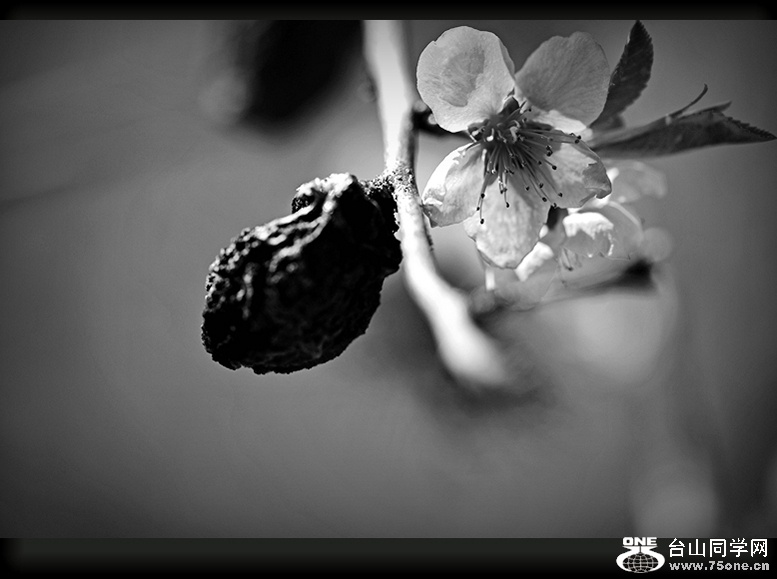 DSC_7706_.jpg