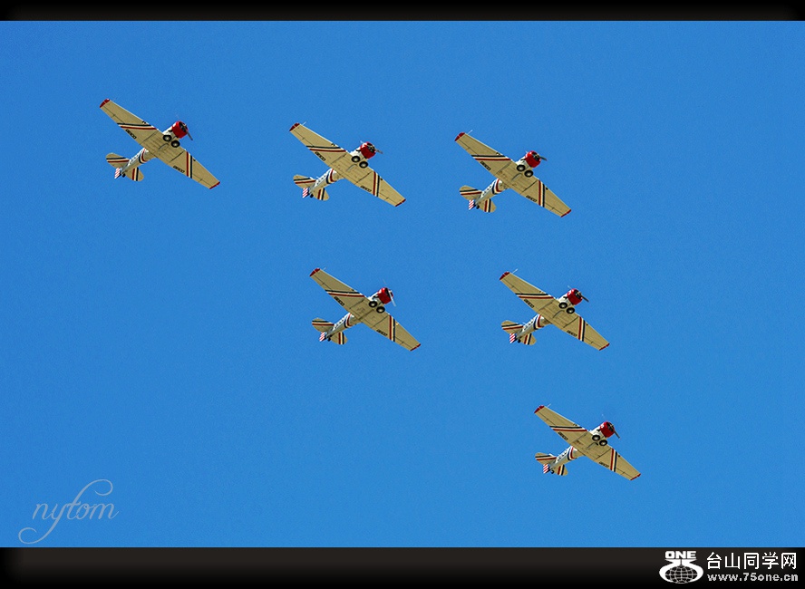 DSC_5319.jpg